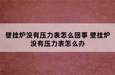 壁挂炉没有压力表怎么回事 壁挂炉没有压力表怎么办